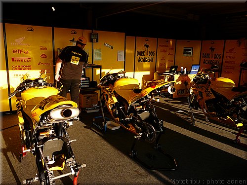 0025-paddock-003.JPG
