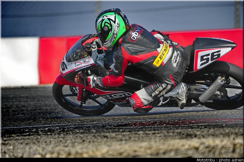 125_bovin_2