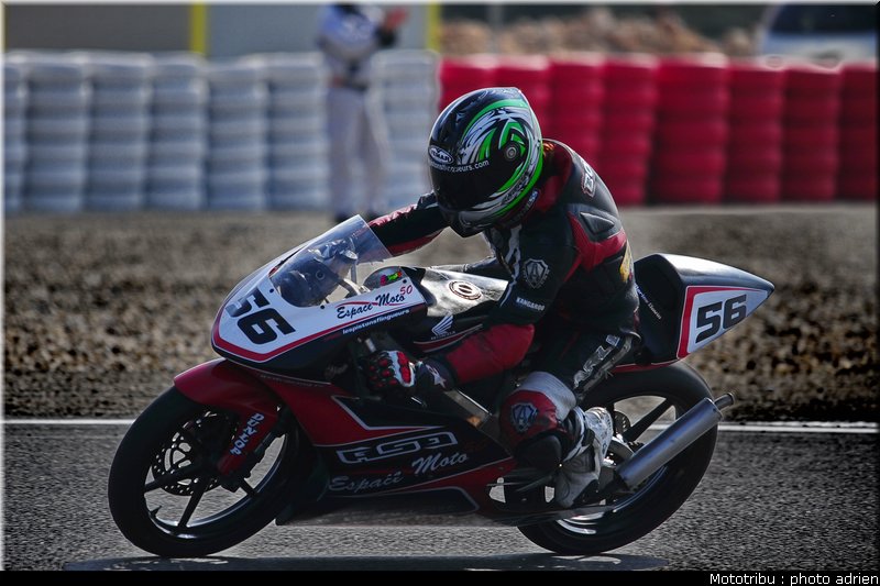 125_bovin_3