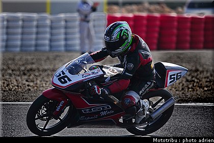 125_bovin_3.JPG