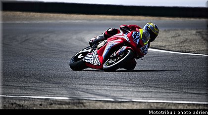 600pirelli_chevaux_4.JPG