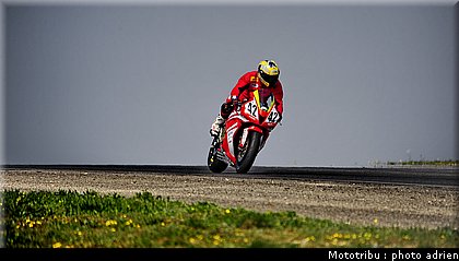 600pirelli_chevaux_5.JPG