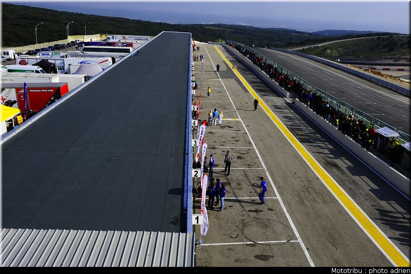 paddock_007