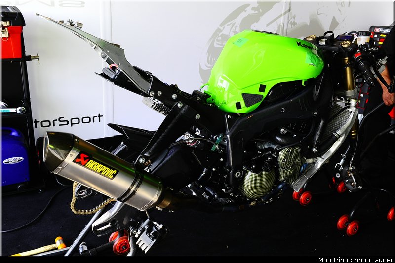 paddock_018
