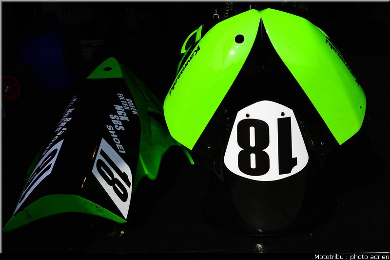 paddock_019