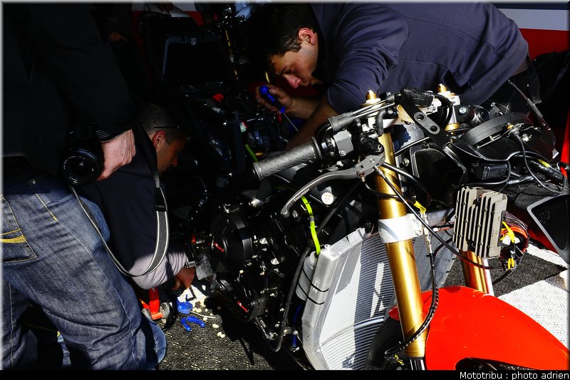 paddock_021