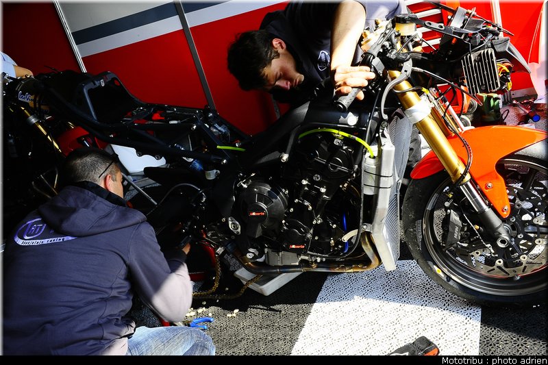 paddock_022