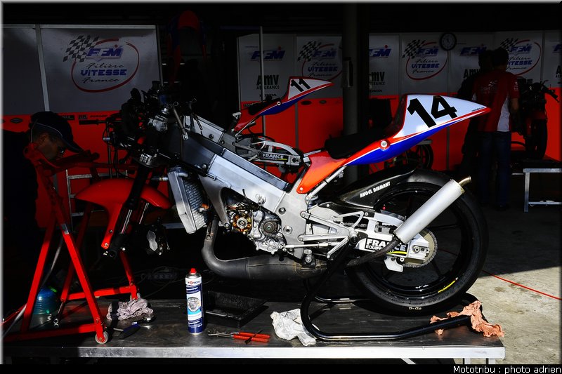 paddock_024