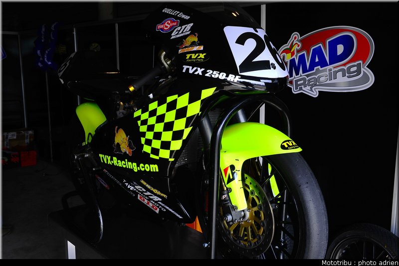 paddock_027