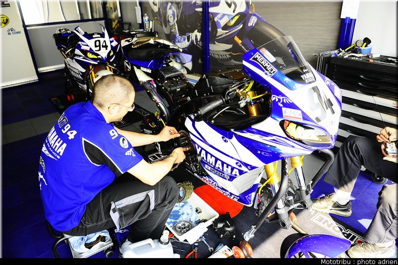 paddock_047