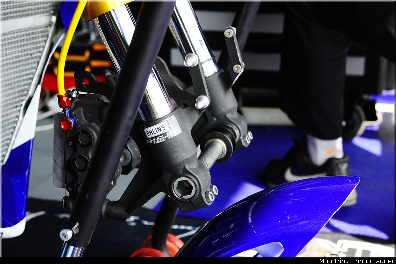 paddock_049
