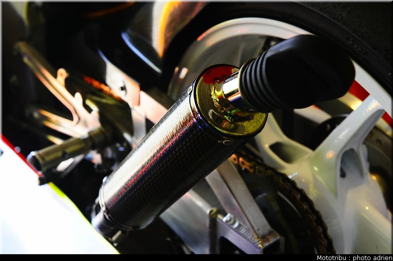 paddock_055