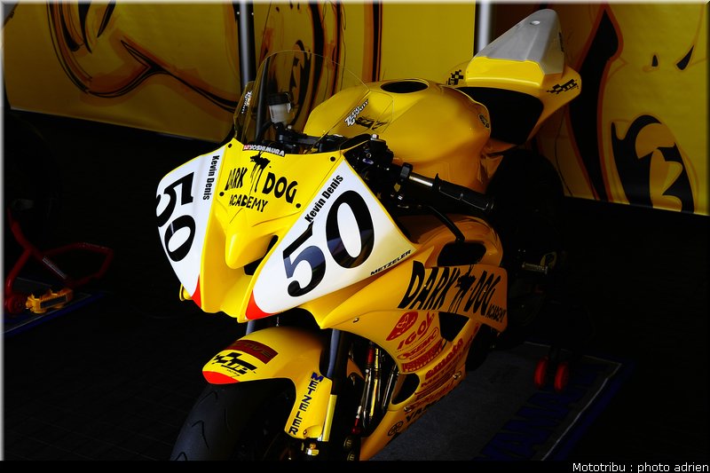 paddock_056