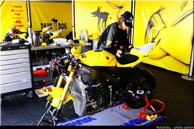 paddock_057