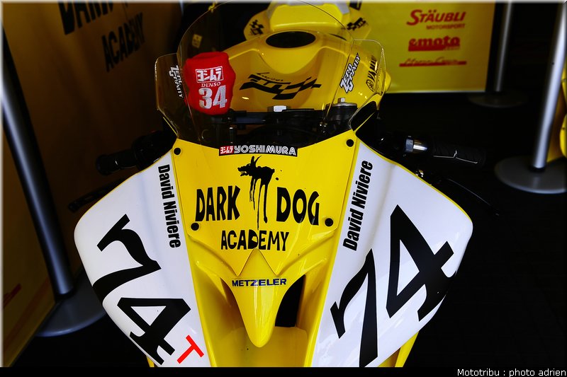 paddock_059