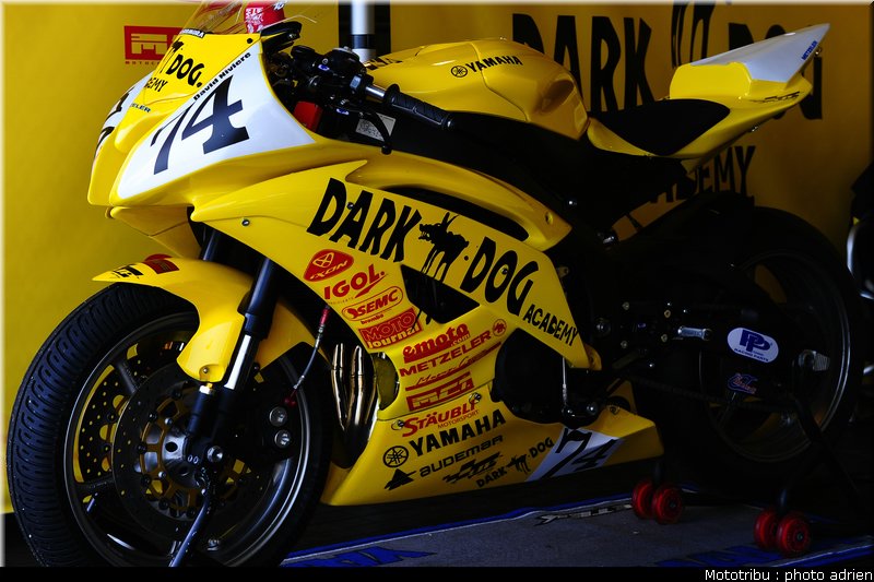 paddock_064