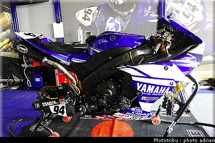 paddock_012.jpg