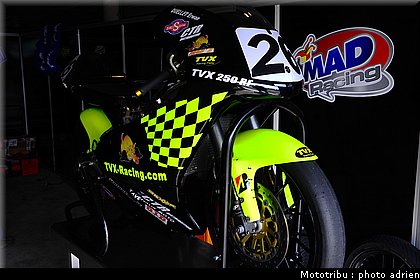 paddock_027.jpg