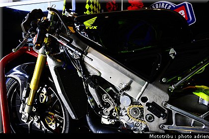 paddock_031.JPG
