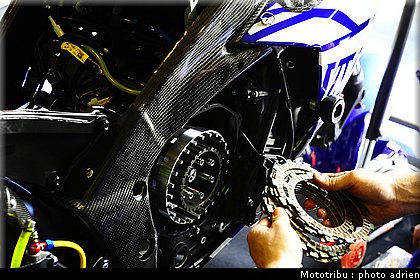 paddock_043.JPG