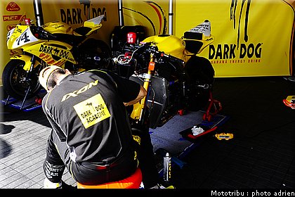 paddock_058.JPG