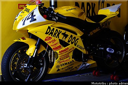 paddock_064.JPG