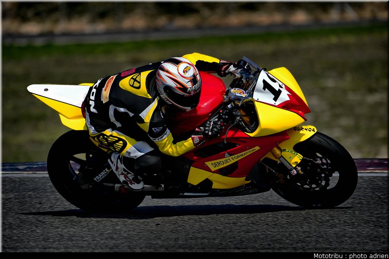 supersport_loiseau_2