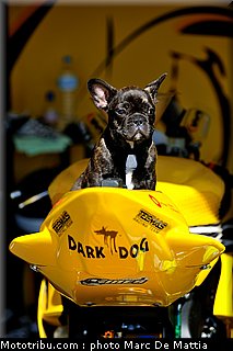 0060_superbike_france_ledenon_juin_2010_0031.jpg