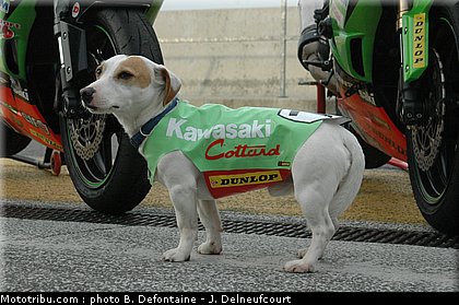 promosport_2011_nogaro_0006.JPG
