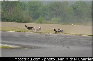 sbk_muscat_03_fsbk_2013_nogaro.jpg