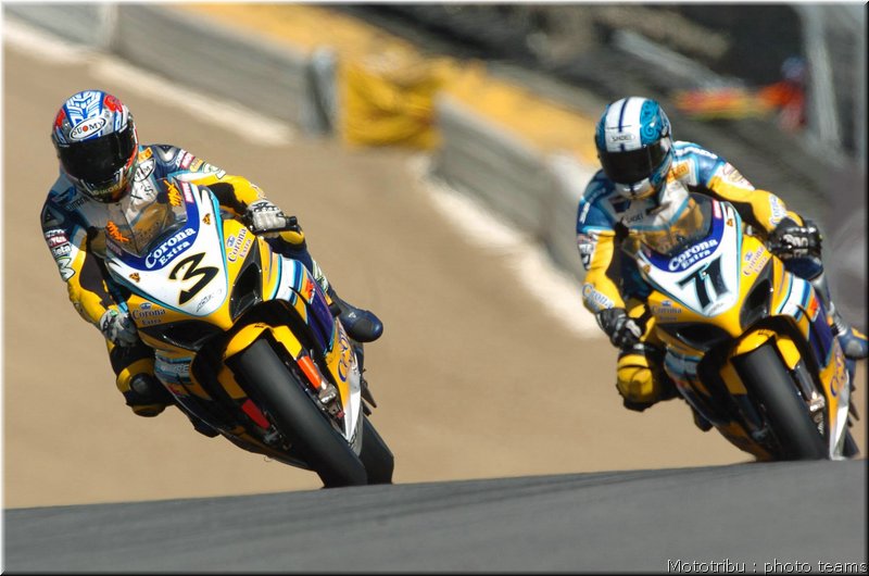 suzuki001
