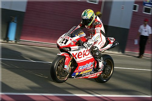 bayliss_03.jpg