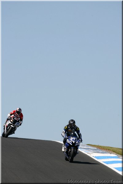salom_4