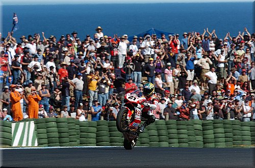 bayliss_14.jpg