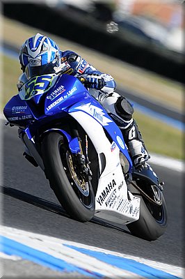 roccoli_10.jpg