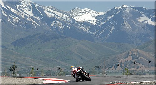 bayliss4.jpg