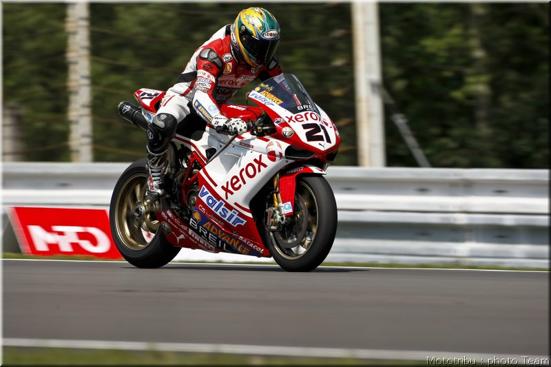 bayliss_10