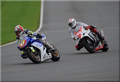 0332_stk1000_6.jpg