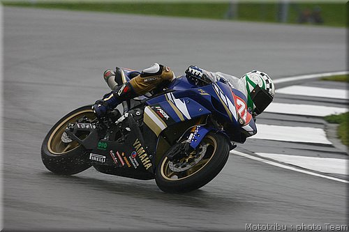 0337_stk1000_corti_4.jpg