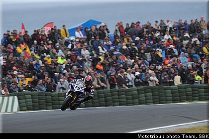 0384_sbk_spies_3.jpg