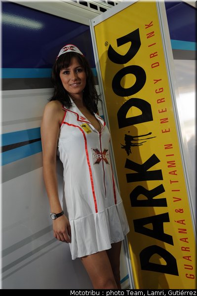 pitbabes_009