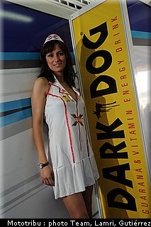 pitbabes_009.jpg