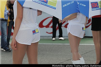 pitbabes_029.jpg