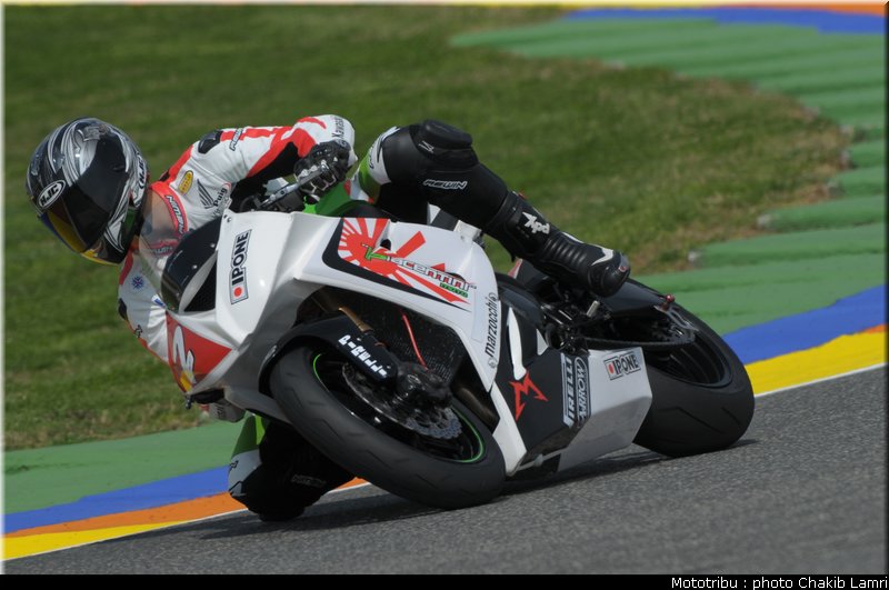 stk1000_morelli