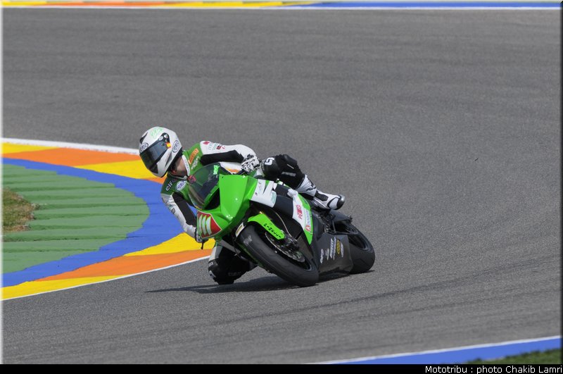stk1000_ortega_1