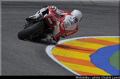 stk1000_jezek_2.JPG
