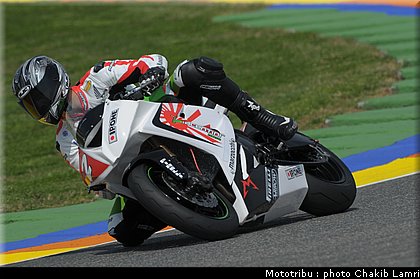 stk1000_morelli.JPG