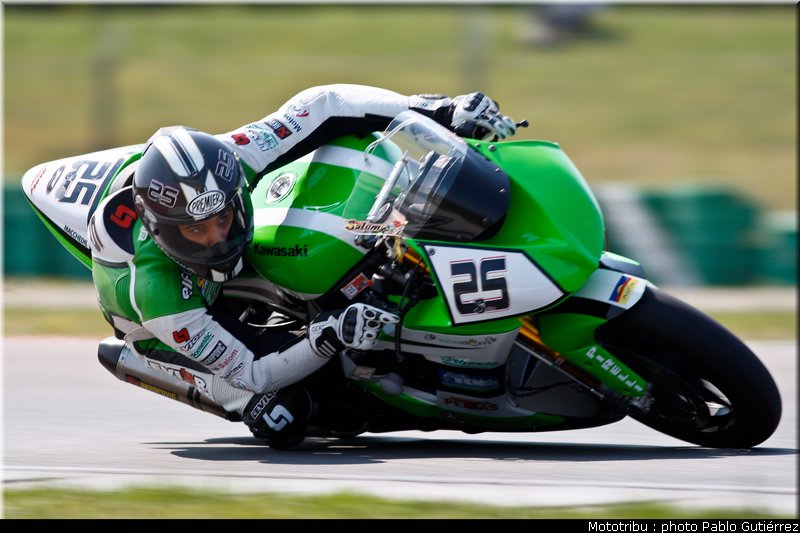 salom_3