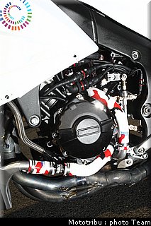 0278_ss_laverty_09.jpg
