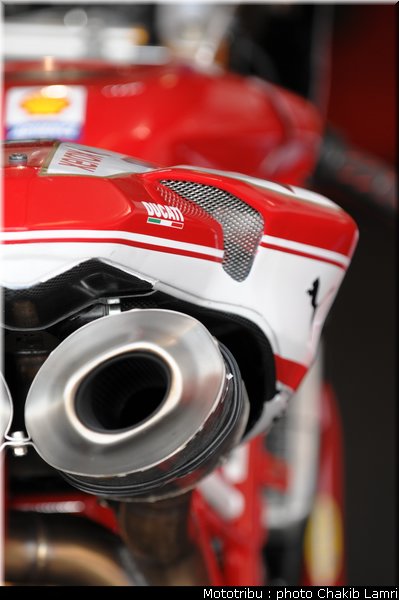 paddock_01
